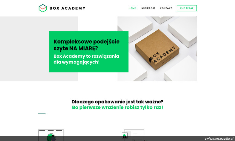 box-academy-adam-szafirowicz