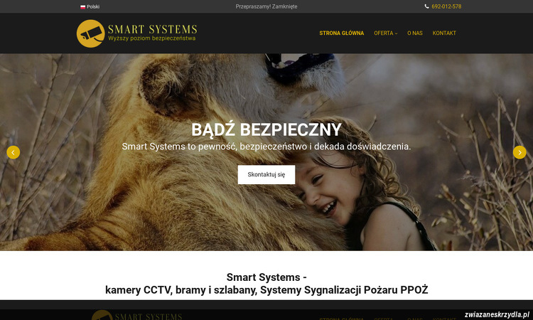 smart-systems